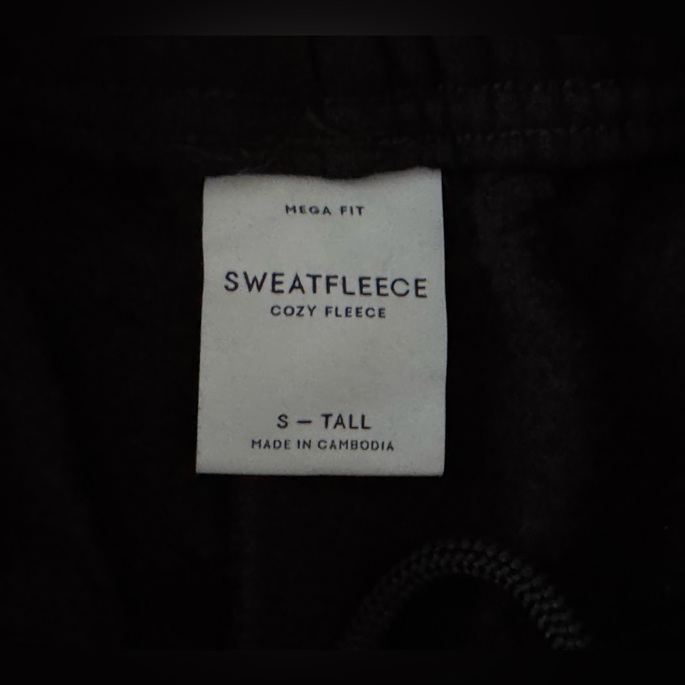 Aritzia Cozy Sweatfleece Mega Cargo Jogger - Small Tall - Picture 11 of 13